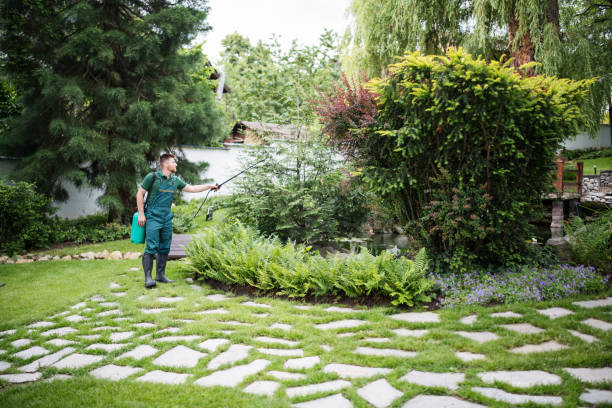 Best Best Pest Control Companies  in Jamestown, OH
