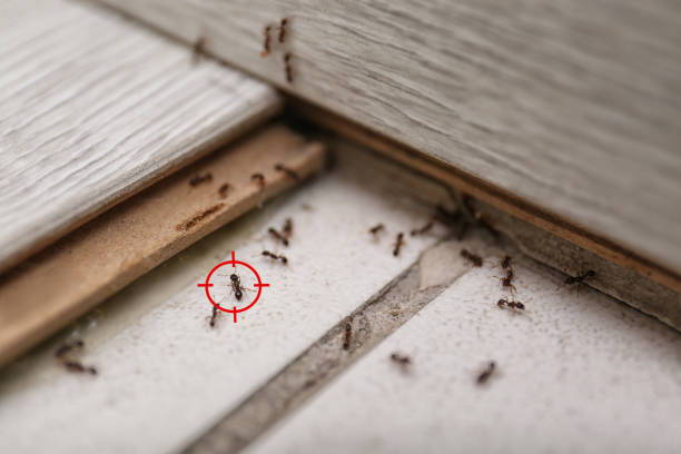 Jamestown, OH Pest Control Company
