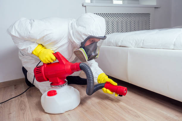 Best Termite Control Services  in Jamestown, OH
