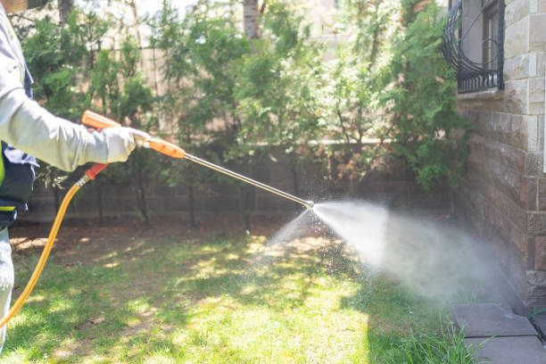 Best Mosquito Control Services  in Jamestown, OH