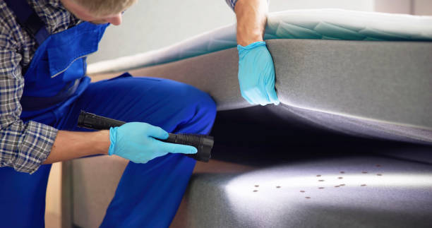 Best Commercial Pest Control Services  in Jamestown, OH