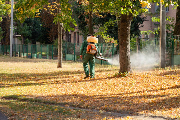 Best Rat Extermination Near Me  in Jamestown, OH