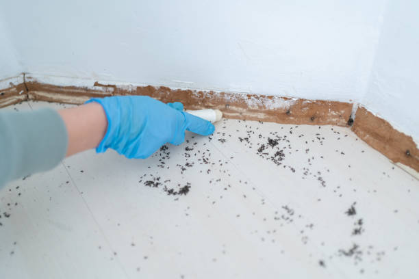 Best Exterminator Services  in Jamestown, OH