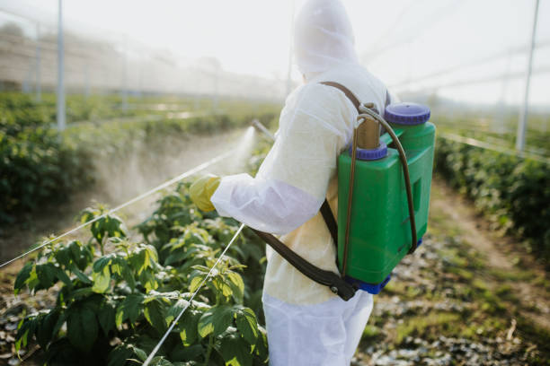 Best Pest Control Near Me  in Jamestown, OH